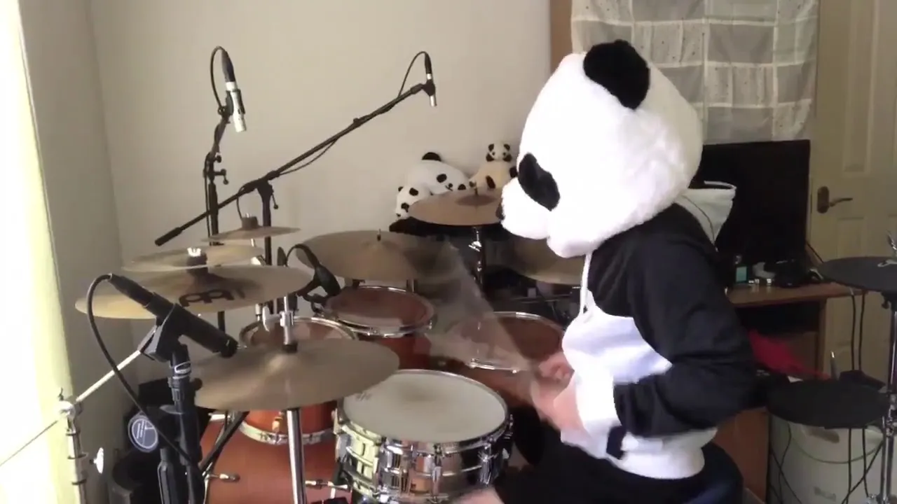 Panda playing drums